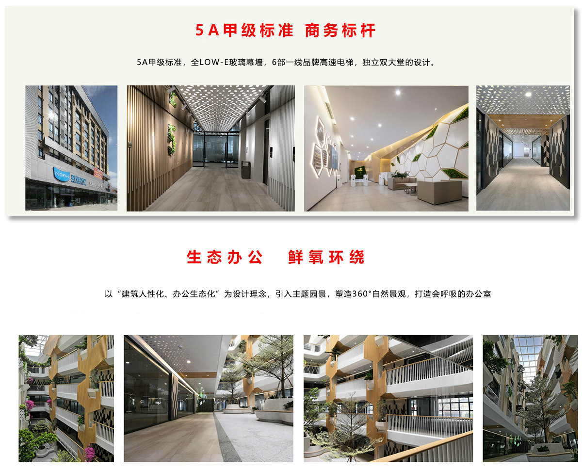 永乐高70net(中国)有限公司-BinG百科